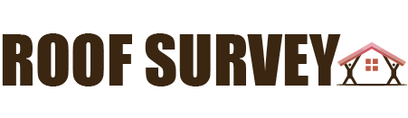 Roof Survey Logo